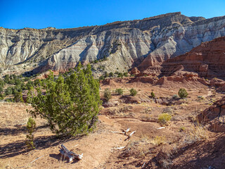 Clay Hills Desert Landscape