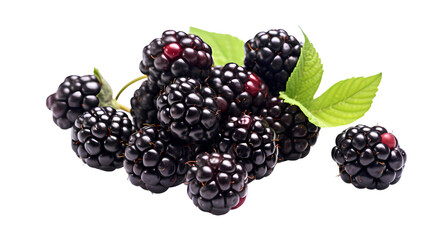 Blackberries on transparent background