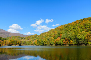 静寂の秋　蔵王  長老湖
