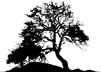 a wooden silhouette