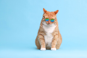Obraz premium Cute ginger cat in stylish sunglasses on light blue background