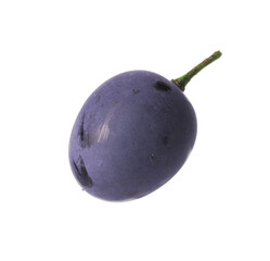 One ripe dark blue grape isolated on white