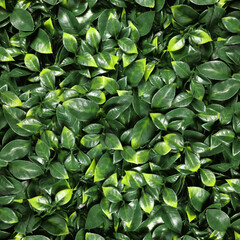 Lush bright green artificial plants as background