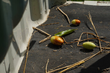 トラックの荷台に落ちたナツメヤシの実と葉