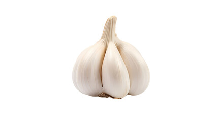 Garlic on transparent background