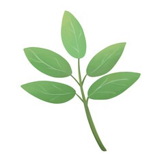 Illustrator of branch of green leaf isolate on white background