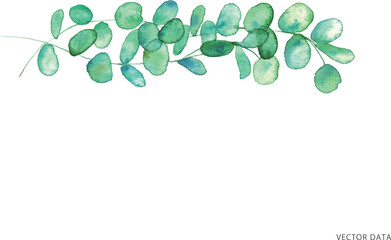 水彩画。水彩タッチの植物イラスト。植物のベクターイラスト。Watercolor painting. Watercolor touch botanical illustration. Vector illustration of plants.