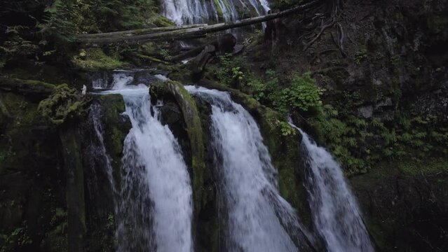 Waterfall in the Forest