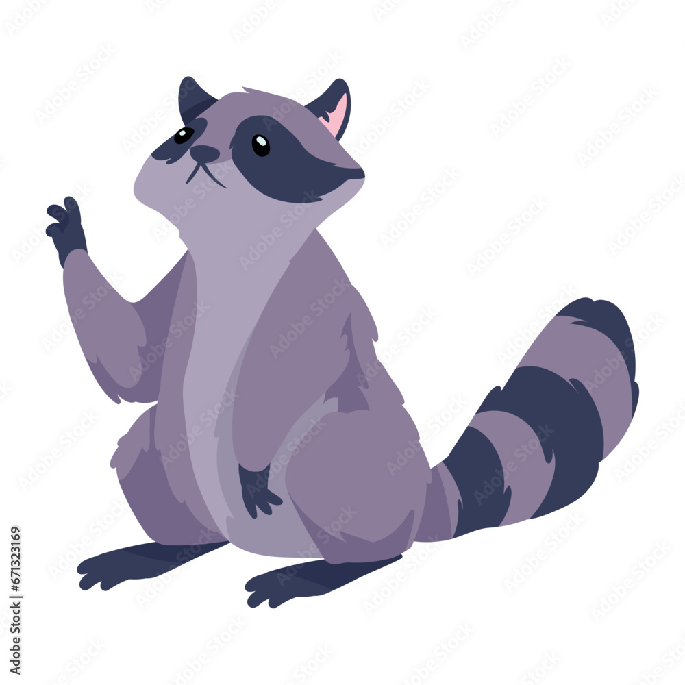 Canvas Prints woodland animal raccoon