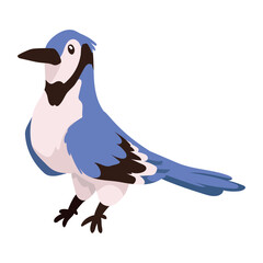 woodland animal bird