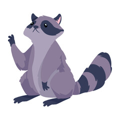 woodland animal raccoon