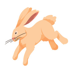 woodland animal rabbit