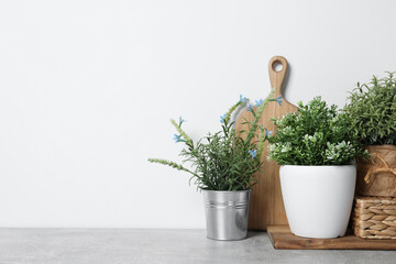 Different artificial potted herbs on light grey table, space for text