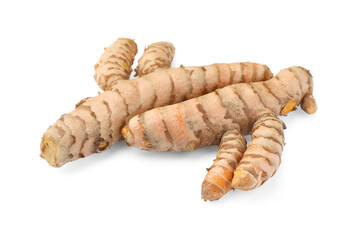 Fresh whole turmeric roots isolated on white