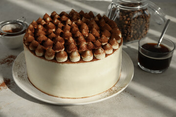 Delicious tiramisu cake with cocoa powder on light table, closeup
