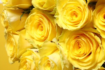 Beautiful bouquet of yellow roses, closeup view