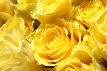 Beautiful bouquet of yellow roses as background, closeup