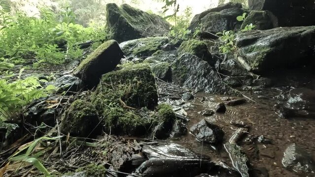 The Indian Grotto (C. Colonia 3 de Mayo "Gruta India") is a cave in the province of Misiones, Argentina. Drops from the waterfall fall on the stones of the cave.
