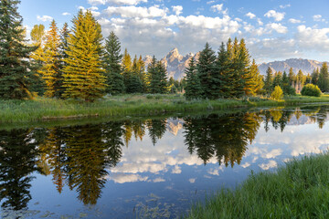 Teton Reflection