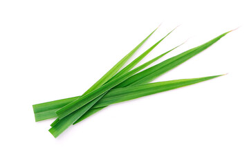 Fresh lemongrass green leaves isolated on white background , top view , flat lay.