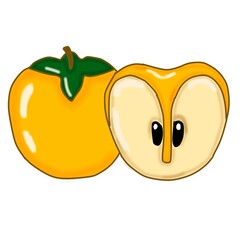 illustration of an Persimmon