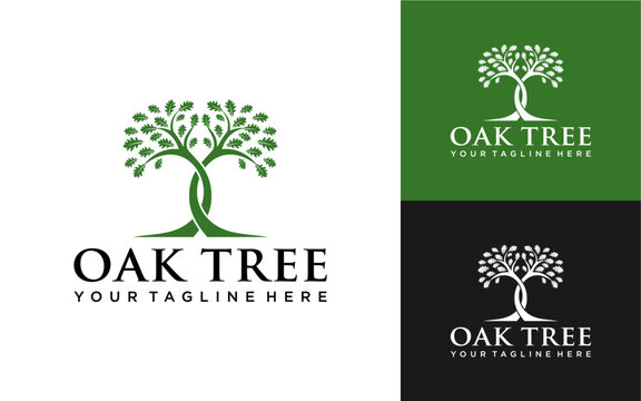 Oak Tree Logo Design, Brand Identity logos vector, modern logo, Unique Oak Tree Vector Ilustration