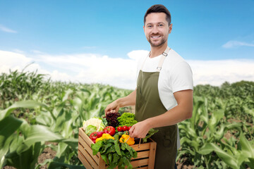 Harvesting season. Farmer holding wooden crate with crop in field