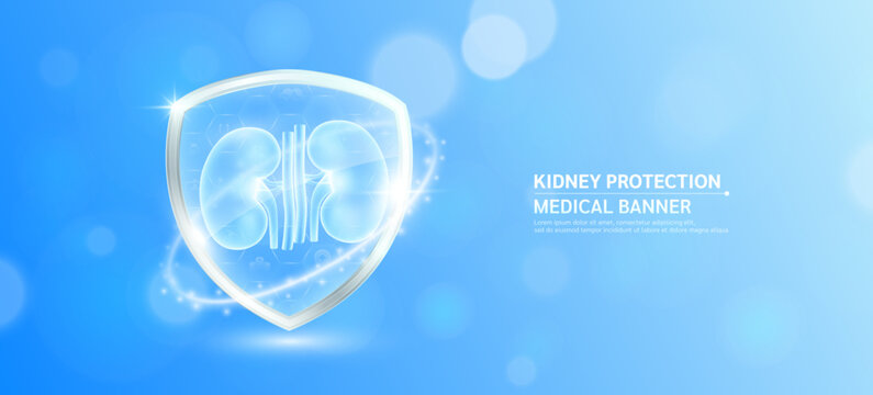 Kidney inside glass shield glowing with medical icon sign symbol on blue bokeh lights background. Human anatomy organ translucent. Medical health care innovation immunity protection. Banner vector.