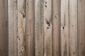 wooden fence stands tall, weathered by time, a symbol of protection and boundaries. Warm sunlight enhances its rustic charm in a serene garden setting