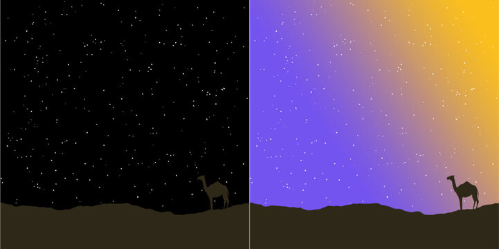 stars in the night with camel