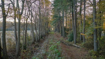 Georgetown/Lewes Trail - old Railroad Trail © SugarFly Studios