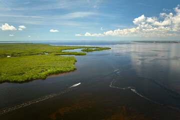 Overhead view of small boat on Everglades swamps with green vegetation between water inlets. Natural habitat of many tropical species in Florida wetlands