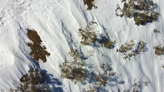 Ortogonal view of snow and vegetation in alpine altitude. Recorded in Ancares mountains, Galicia. Recorded in 4K with DJI Mini 2 drone.