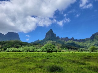 Beautiful tropical wilderness area in Tahiti, French Polynesia