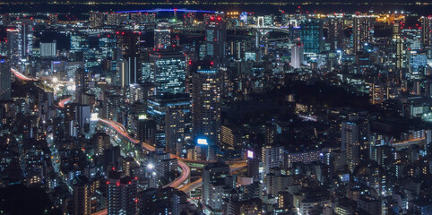 Cityscape of Tokyo at night, Japan. Tokyo is the capital city of Japan.