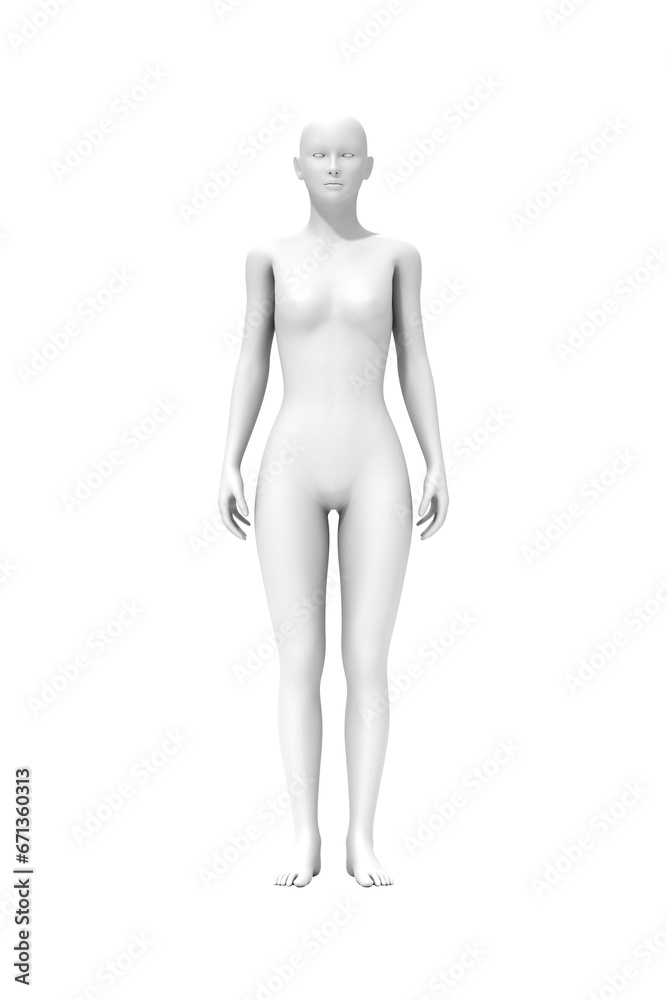 Wall mural woman standing, 3d computer graphic image of human body