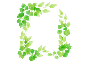 水彩で描かれた植物のフレーム　手書きイラスト　ハーブ　野草　結婚式　招待状　明るい緑色