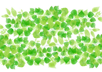 水彩で描かれた植物イラストの背景　手書き　野草　結婚式　招待状　明るい緑色