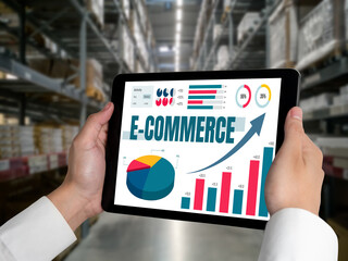 E-commerce data software provide modish dashboard for sale analysis to the online retail business