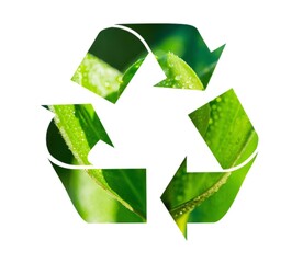 A symbol of recycling with fresh green leaves.
