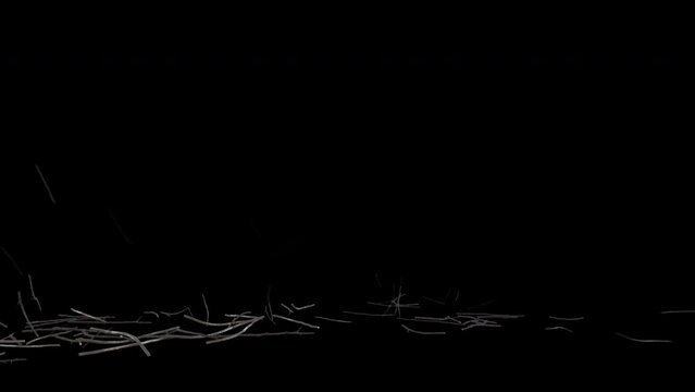 Rocks, tree branches, house roofs, and flying debris from violent storms  effect background footage, motion graphics, overlay 4K drag-and-drop editing software blending modes