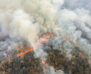 El Nino weather phenomenon cause drought and increase wildfire in southeast asia.