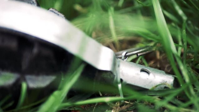  An insidious anti-personnel hand grenade is disguised in the grass.