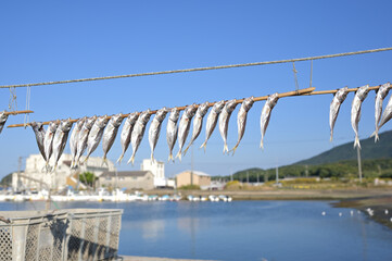 魚の干物が青空と海を背景に漁港で作られている様子