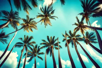 Fototapeten palm tree on the beach © areeba