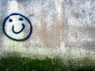 A vibrant snapshot of urban artistry, featuring a mossy cement wall in downtown adorned with a cheerful basic smiley face emoji graffiti.
