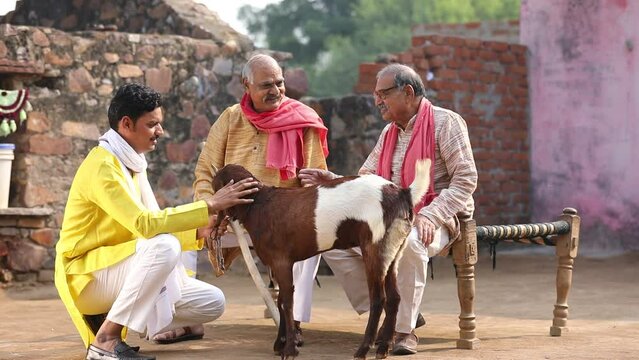 Indian villagers talking of goat farming out of home.