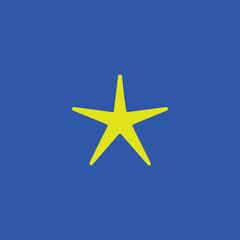 star icon vector on blue background 