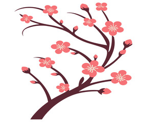 Sakura flowers, cherry or peach tree branch, vector illustration