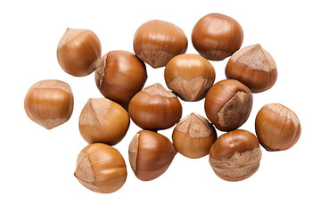 Fototapeta premium Hazelnut on white backgroud